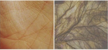 incredibly_beautiful_images_07