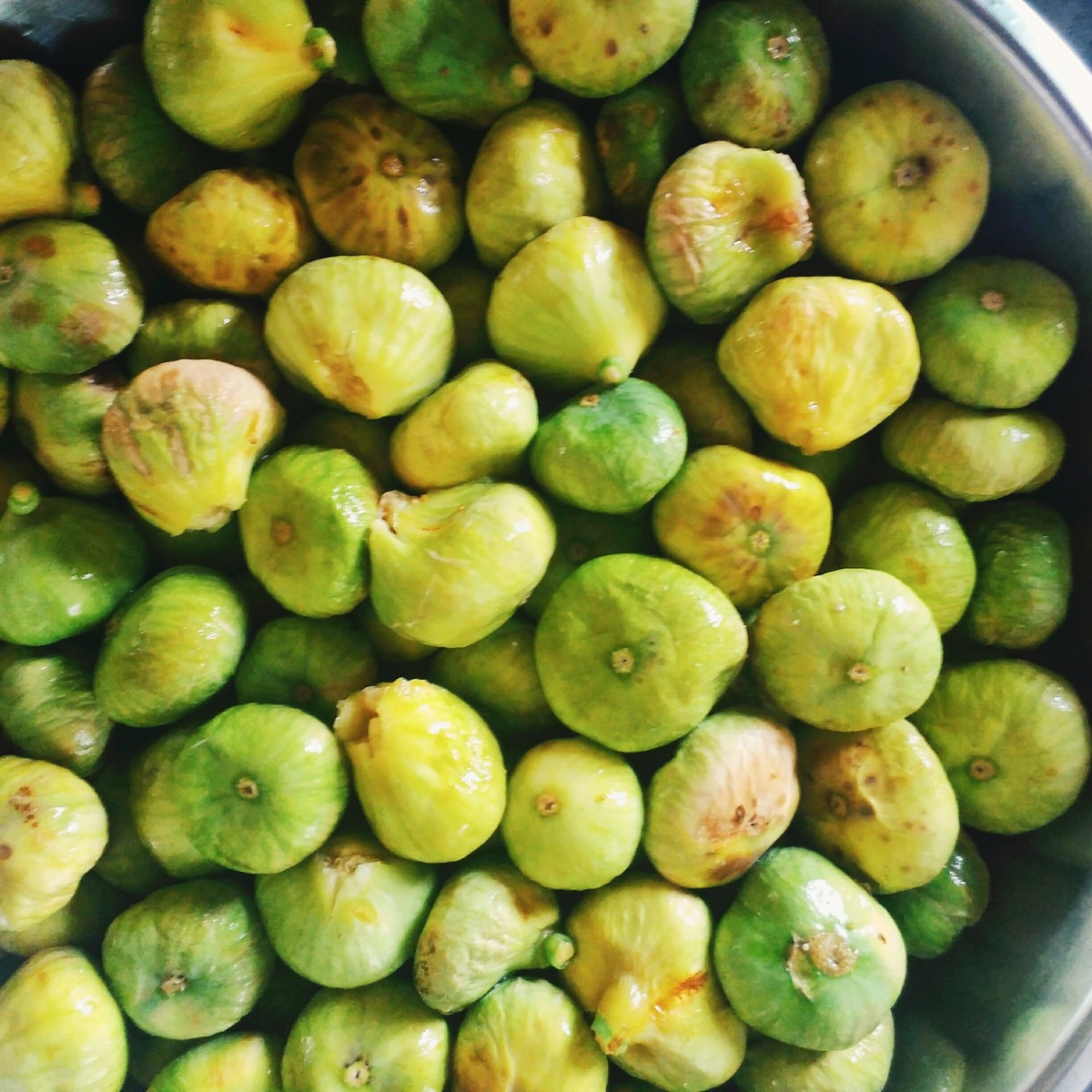 IMG_٢٠١٦٠٨١٢_١٧٤٣١٣