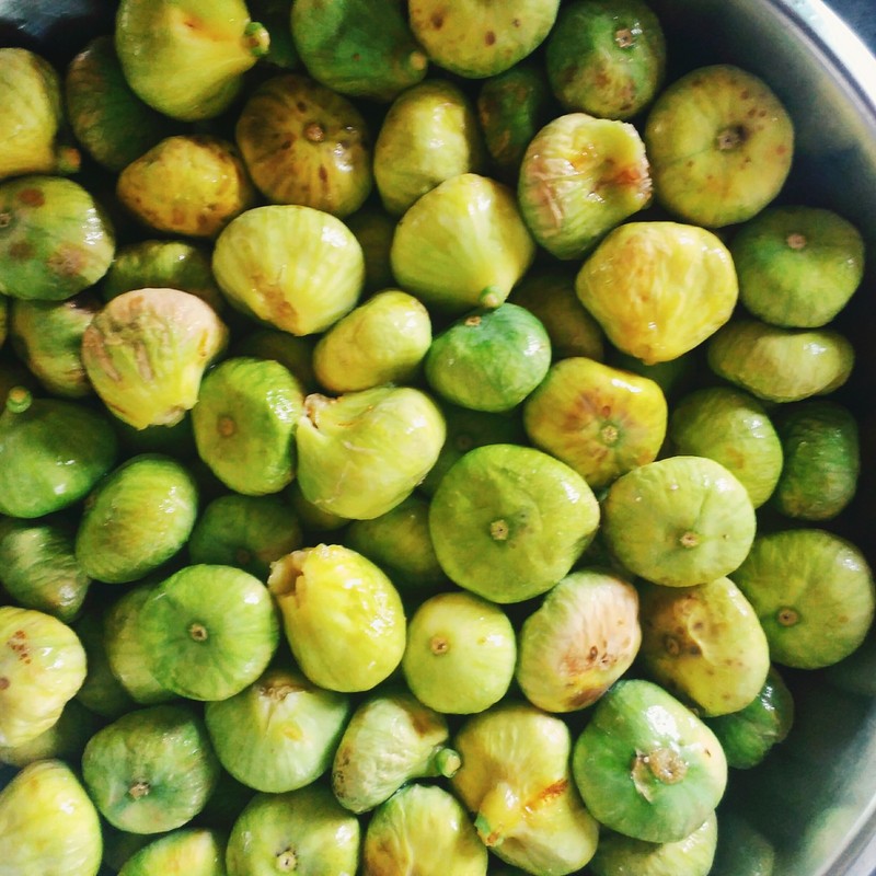 IMG_٢٠١٦٠٨١٢_١٧٤٣١٣