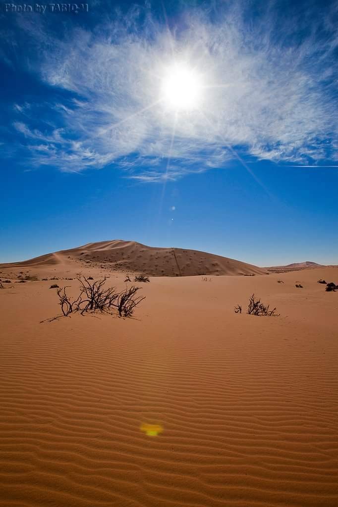 FB_IMG_1530828560986