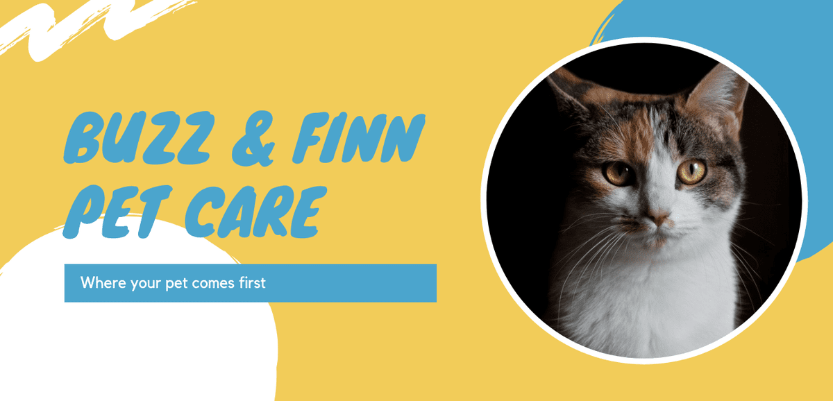 20211004_235515_0000