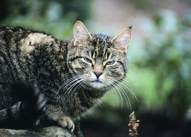 20160922-16719-rd2jmy