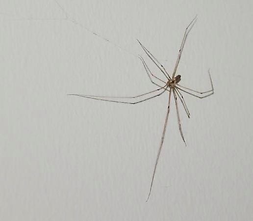 20171011-20960-1vhefej