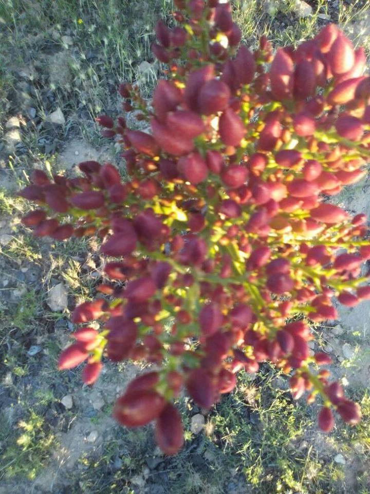 18118686_10211329370821595_2913066959579331973_n