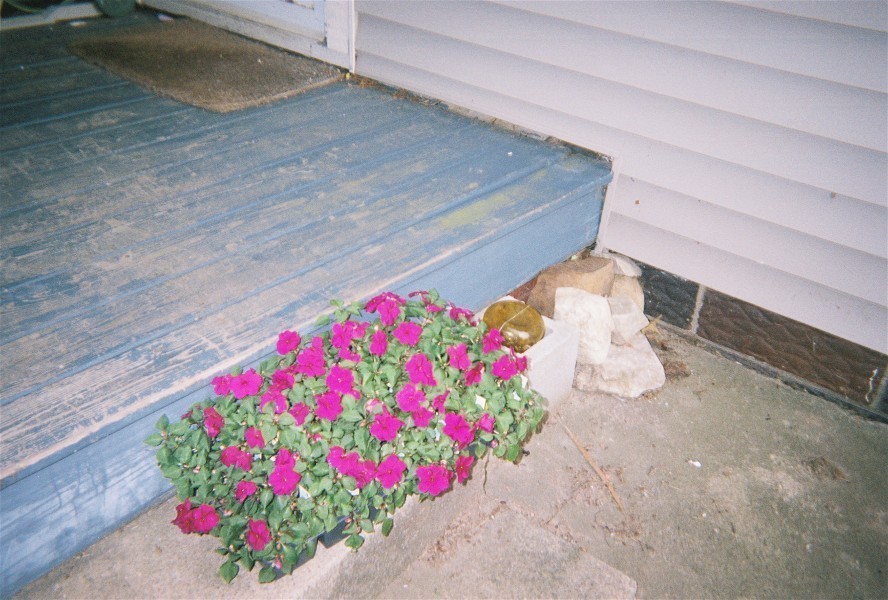 file0001378486602