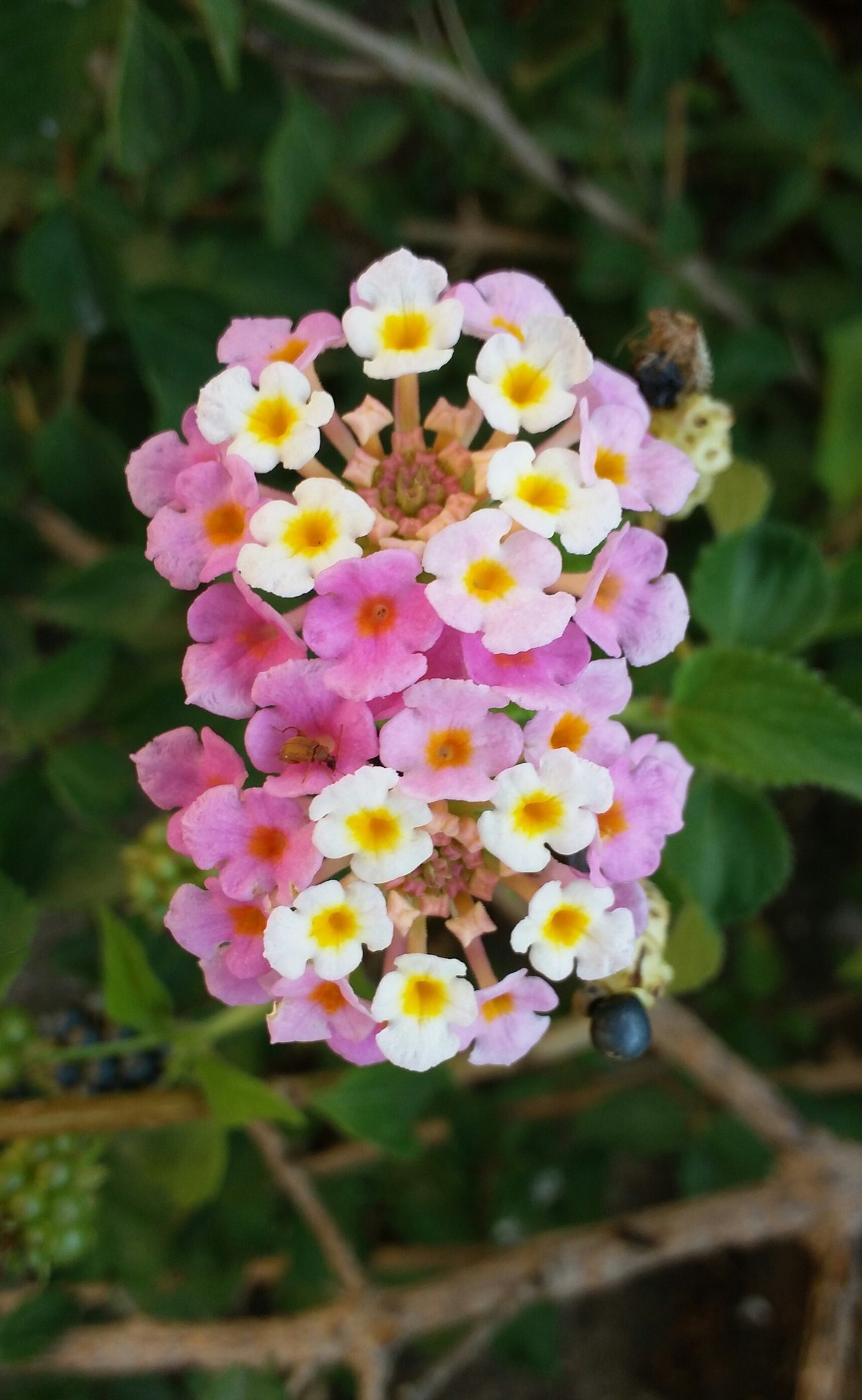 PicsArt_11-19-10.30.18