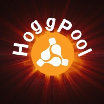 الاستثمار في منصة HOGGPOOL  S