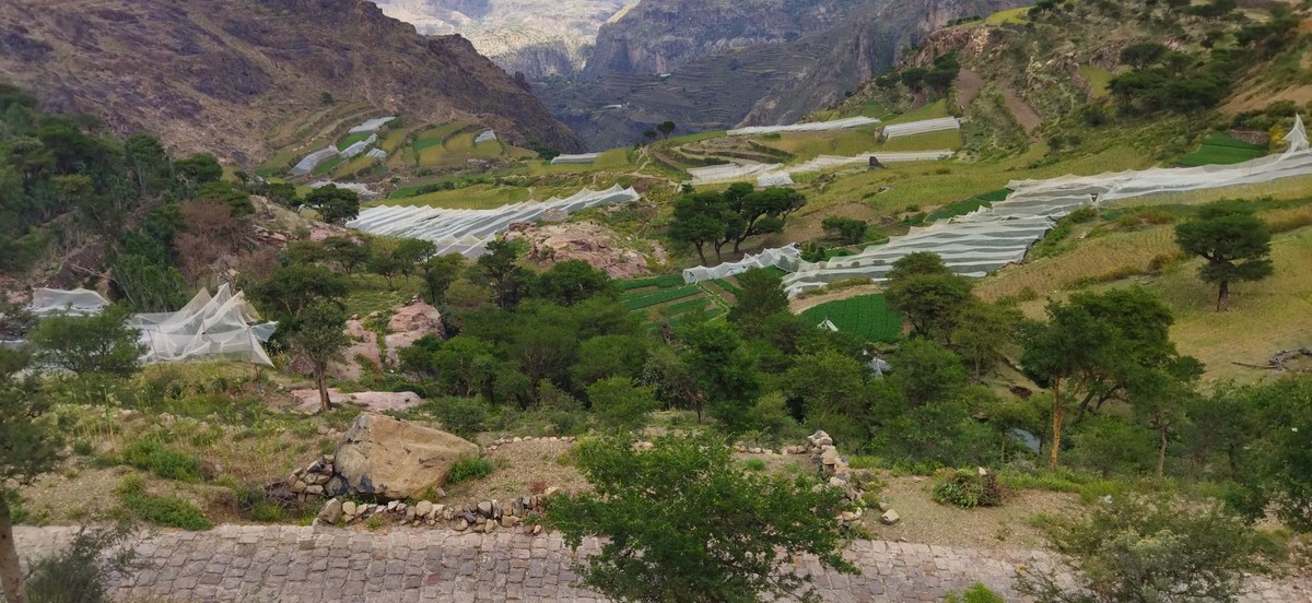 IMG_٢٠٢١١٠٠٩_١٢٥٢٢٣