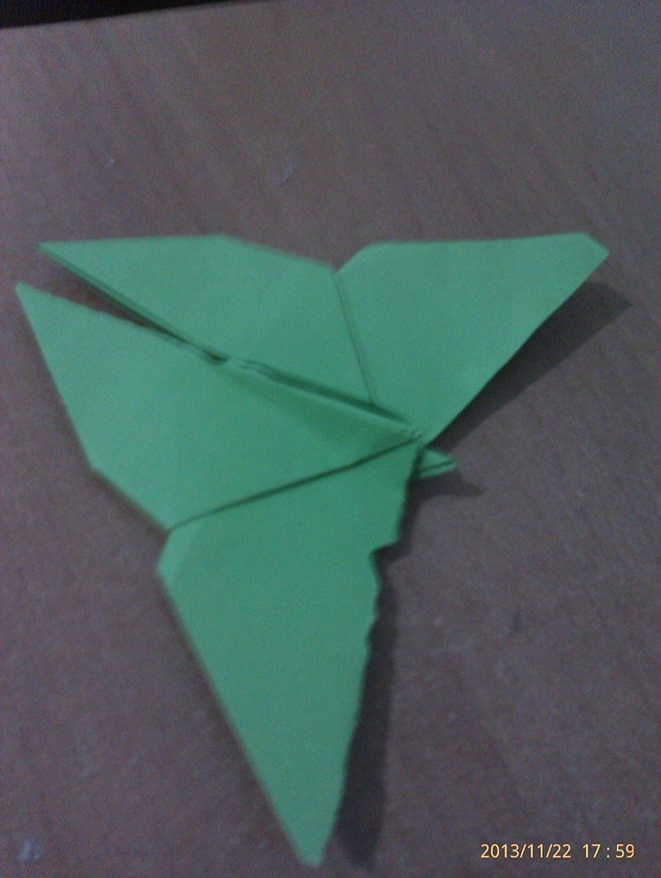 1461073_610257419021623_1060260234_n__1_