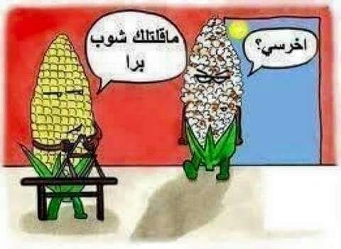 image-bbe174aaf4e17732fea493fcb2d102009cb9c2e8d01596ff3dd5263087986b37-V