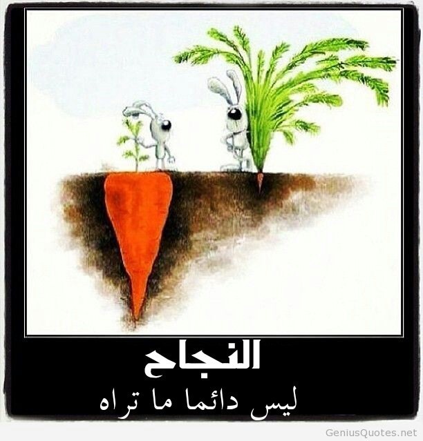 PicsArt_06-17-09.35.17