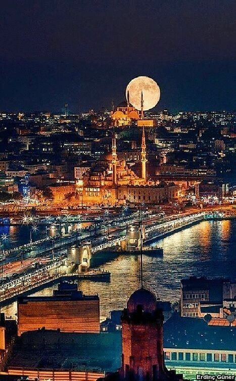 48e16c9d72dfd650c5dd445c3d5d5a99