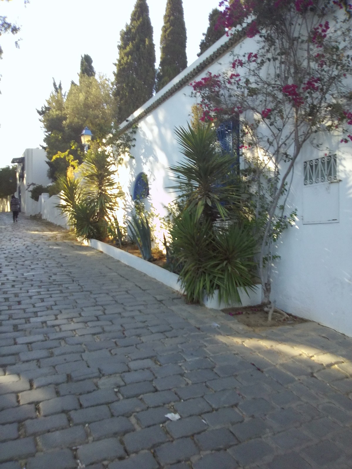 IMG_20160727_170339_1