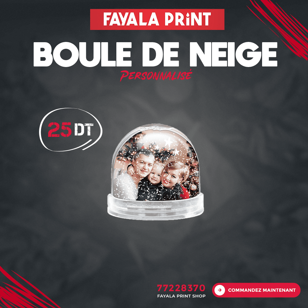 boule_de_neige_v