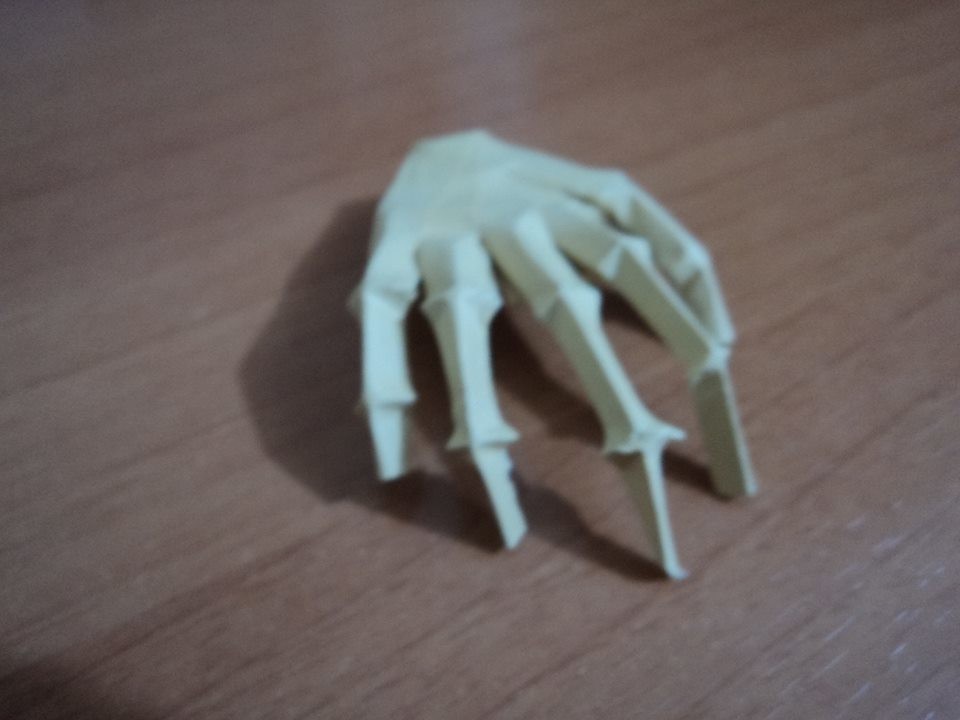 1461839_615677135146318_492336157_n