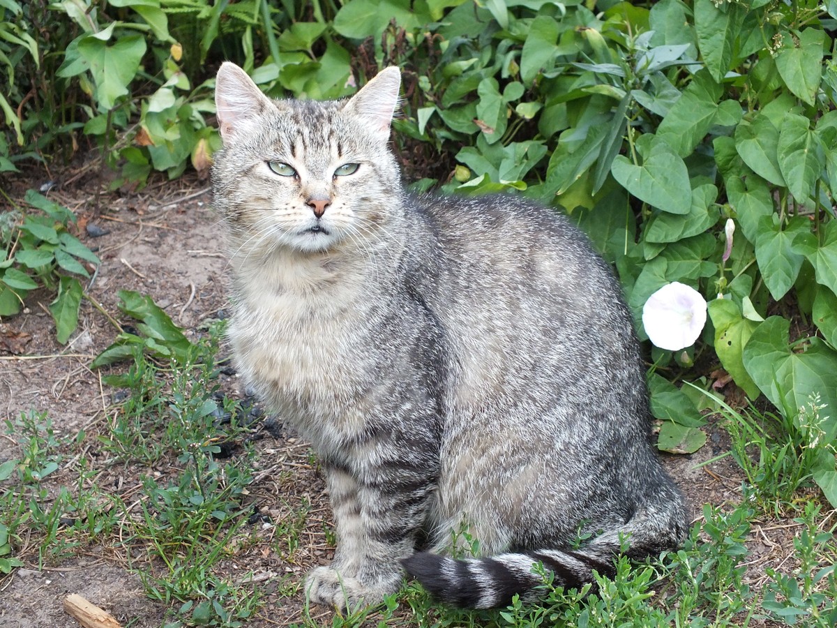 9230474439_1de8ac26b3_o