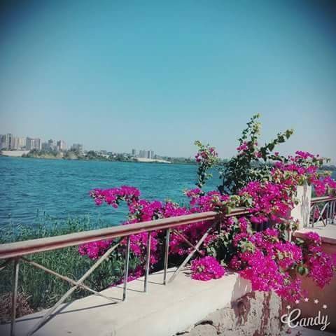 received_864482993715445