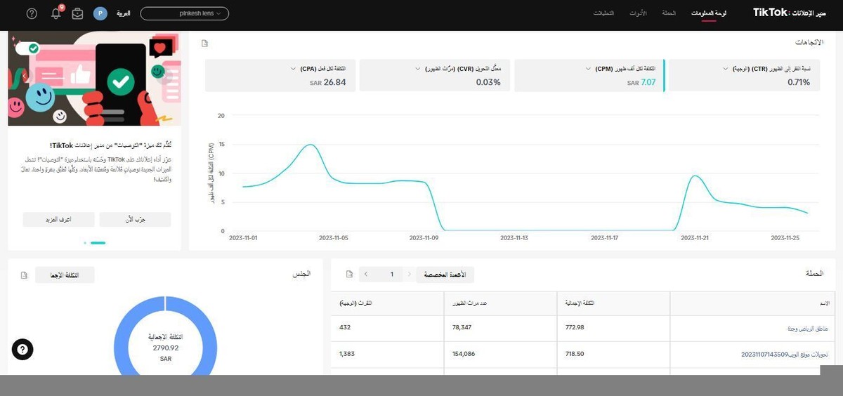 نتائج حملات tik tok ads