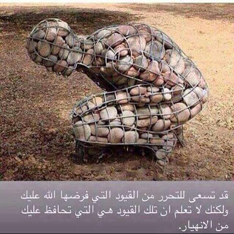 12247153_685758394893922_7340274149728585114_n