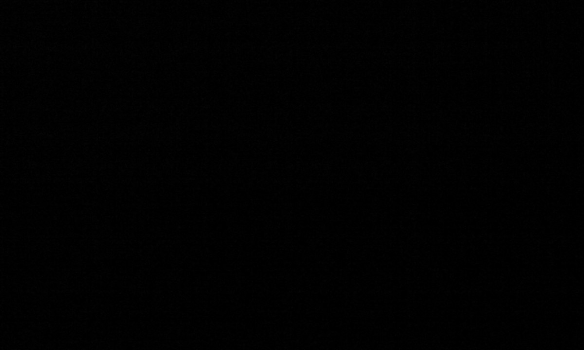 14526394043501553614948