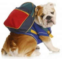 في طريقي الى المدرسة 