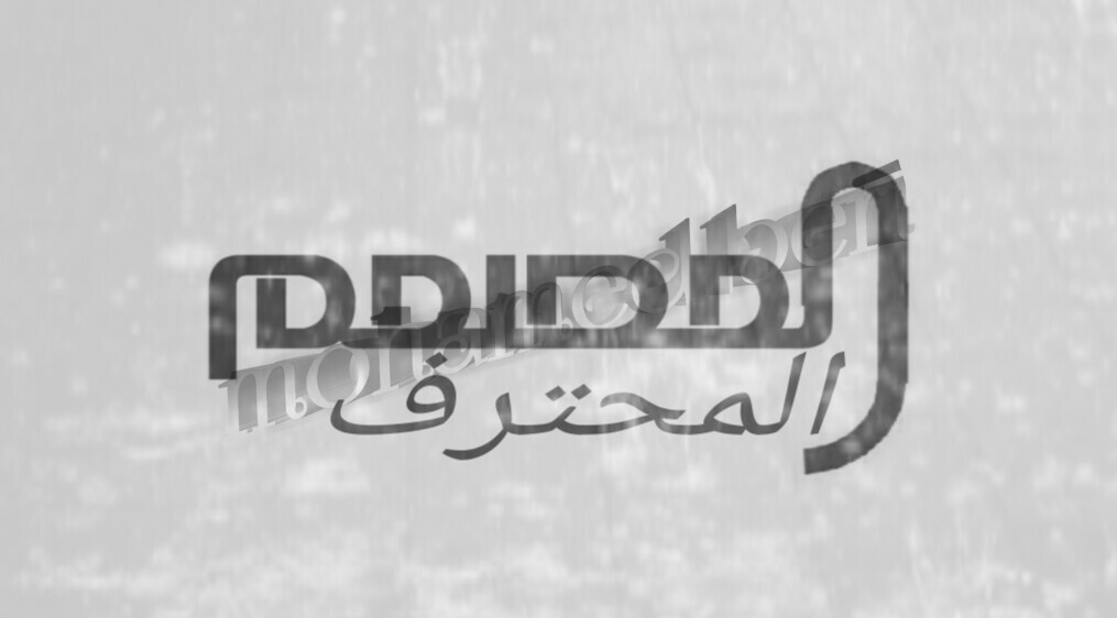 تصميم شعار مثل شعار المحترف 