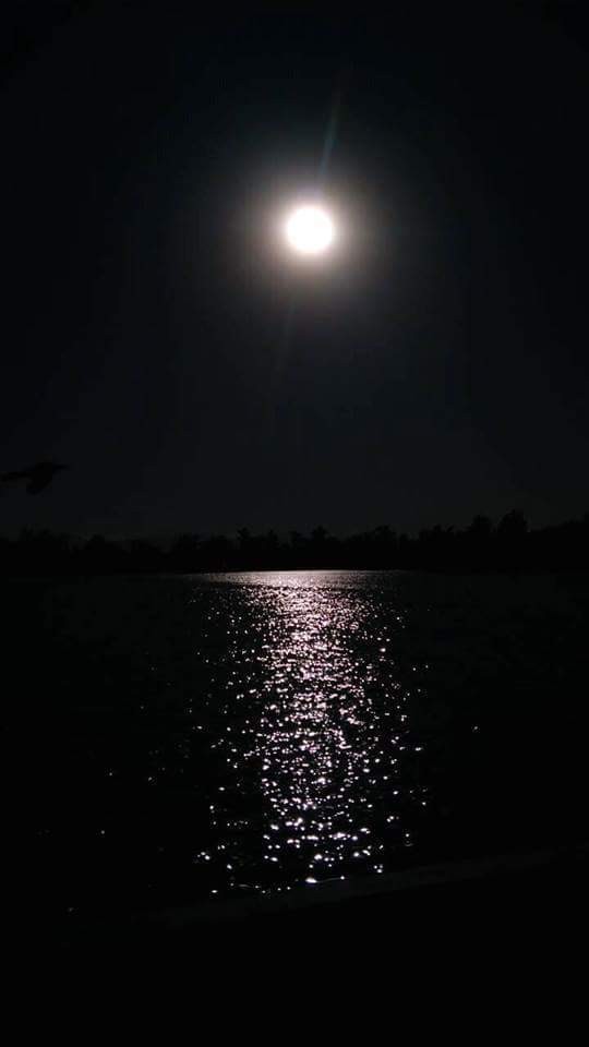 ليلة تحت القمر