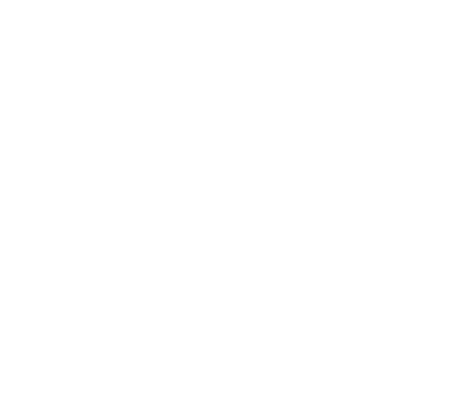 نشرة الانمي
