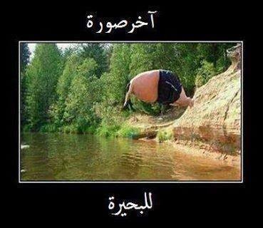 1237150_618569074854273_1817856078_n