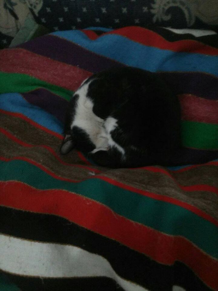 16299508_10210584833568629_7347608216495862806_n