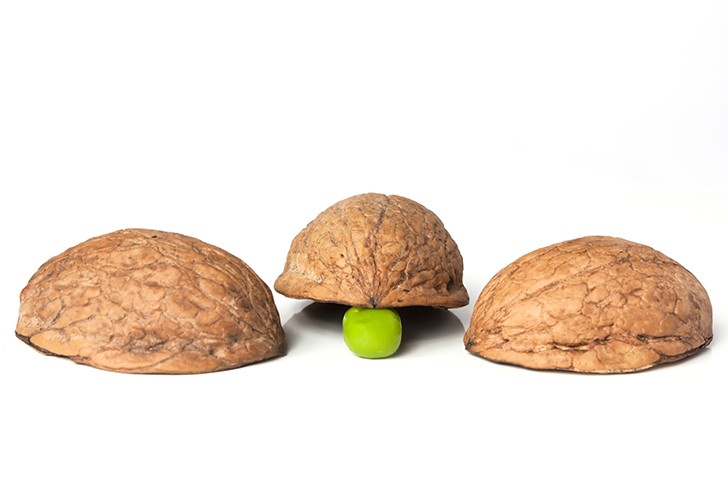 20160823-26084-qoku1l