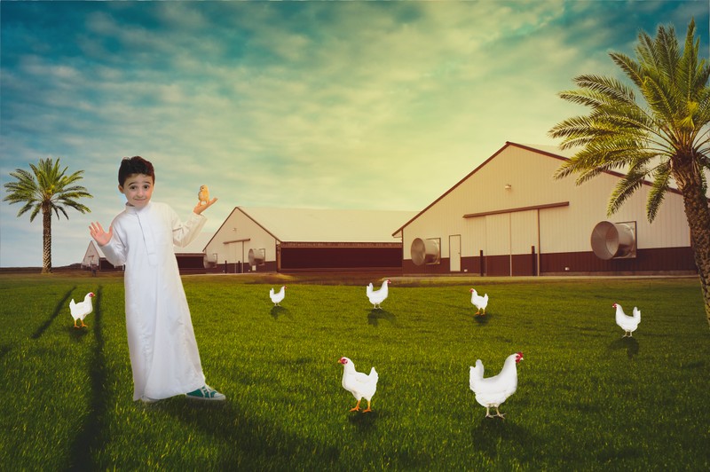 تصميم_أخر
