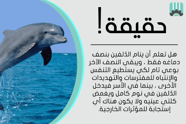 أفضل_شيء_حقيقي