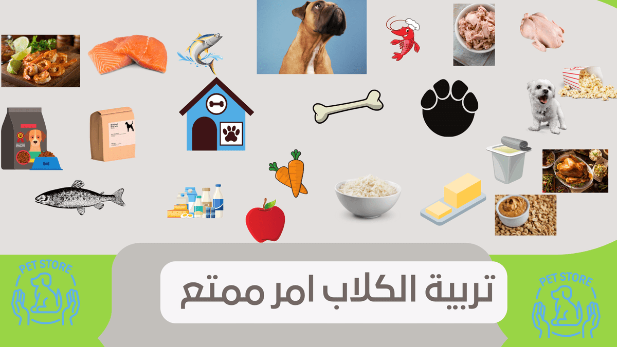 تصميم_غلاف_فيس_بوك_عن_القطط__1_