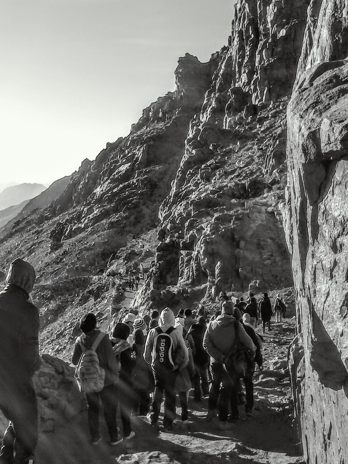 IMG_٢٠١٤١٢٠٦_٠٧٣٧٤٤_2