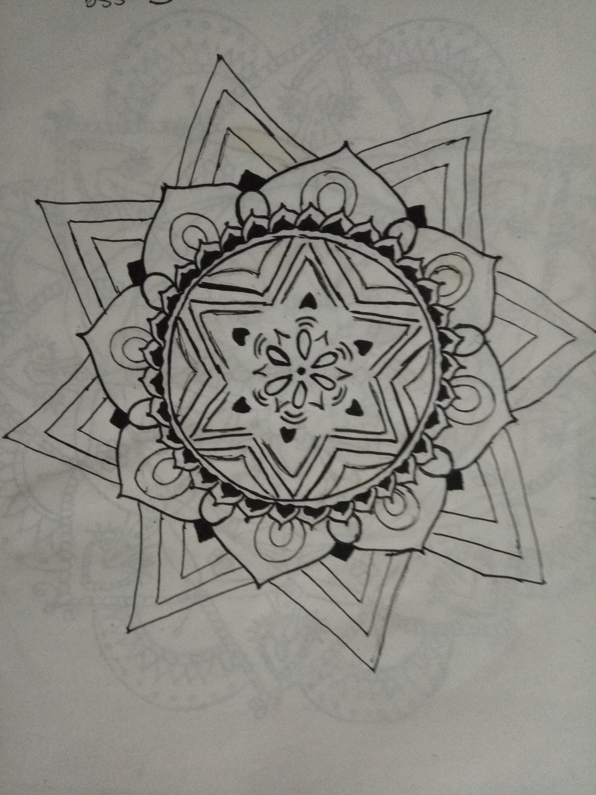 IMG_٢٠١٧٠١٢٢_١٥٤٩٠٠