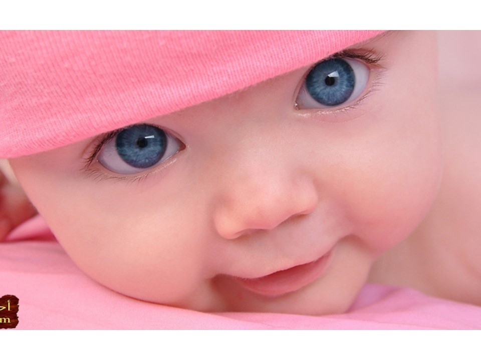 _D8_A7_D8_AC_D9_85_D9_84-_D8_B5_D9_88_D8_B1-_D8_A7_D8_B7_D9_81_D8_A7_D9_84-1