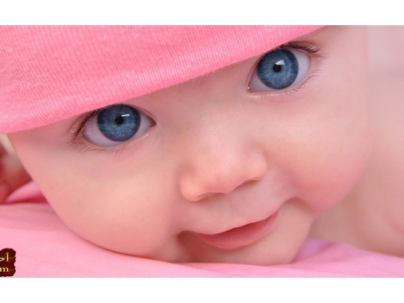 _D8_A7_D8_AC_D9_85_D9_84-_D8_B5_D9_88_D8_B1-_D8_A7_D8_B7_D9_81_D8_A7_D9_84-1