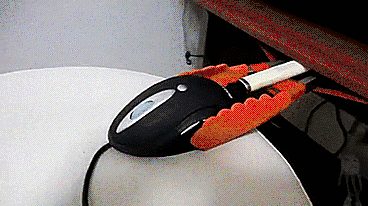 20160619-3704-ba8oxm