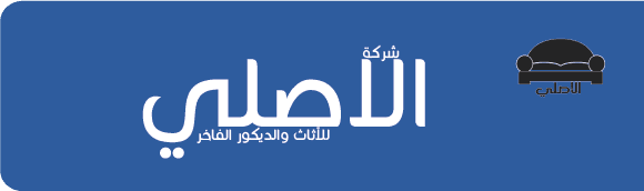 فلاشة