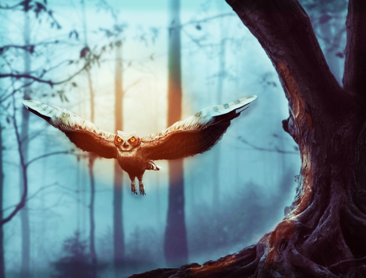 149FCCAC-271E-46C0-9F1A-BB42A59E650B