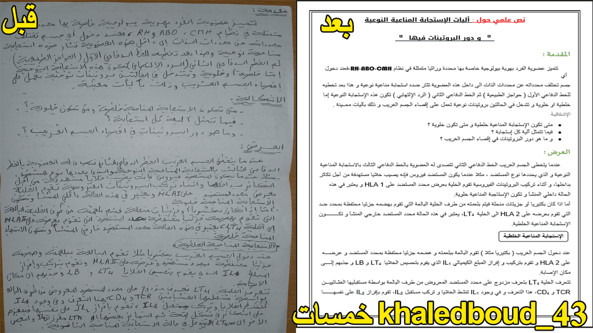 عينة رقم 01