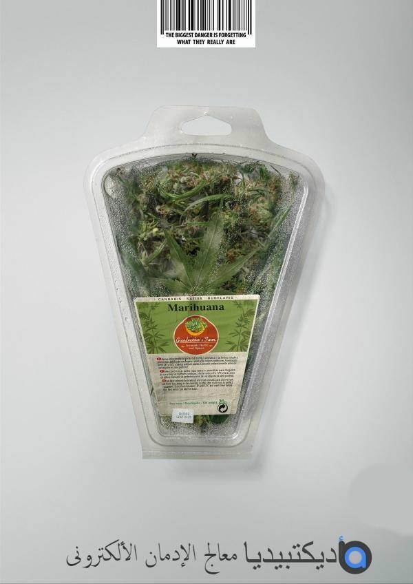 22045866_1364954726936908_606504826756152229_n