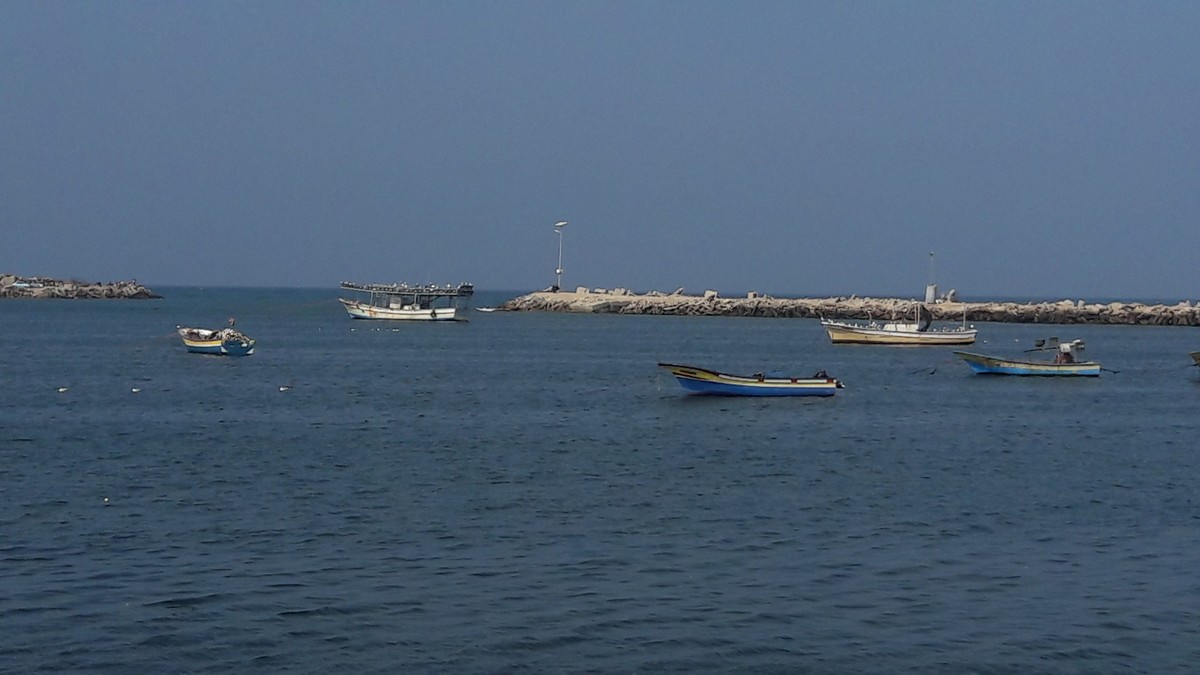 ٢٠١٧٠٣٠٢_١٣٣٢٠٥