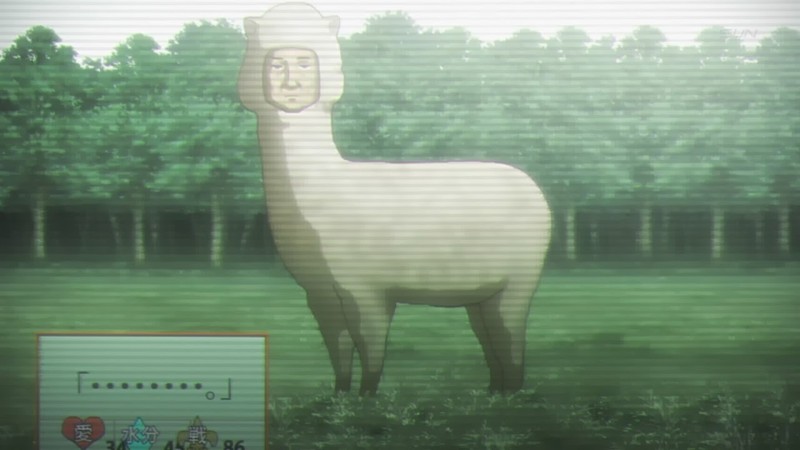 alpacaman