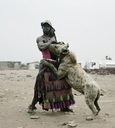 hyena_13