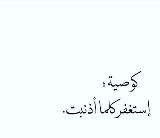 FB_IMG_15463054879877995