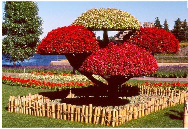 فصل الربيع وجماله