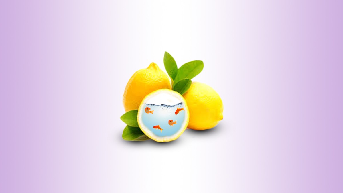 بدون_عنوان-1