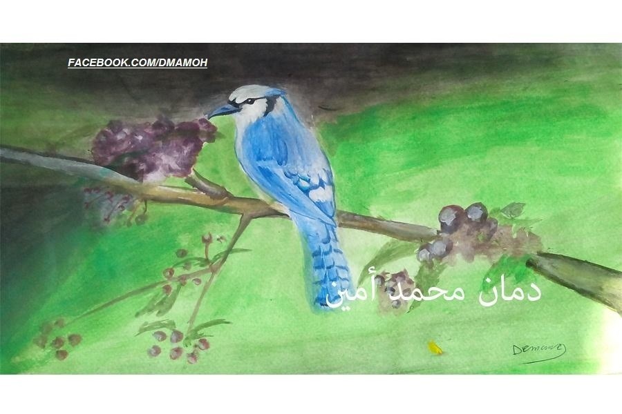 A_bird_above_the_branch